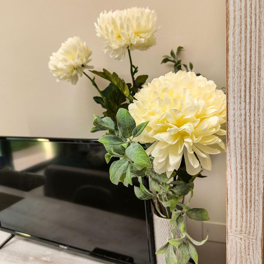 Hotel Delphinium Selargius Zewnętrze zdjęcie